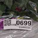 HyeFlora Artificial Flowers for Outdoors 2PCS Faux Petunias Silk Fake Flowers for Outside Planter UV Resistant Realistic Home Garden Porch Decor (Fuchsia)