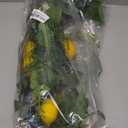 6 FT Artificial Lemon Garland for Front Door, Spring Garland with Lemons White Flowers Blueberry & Green Leaves Summer Fruit Garland for Mantel Fireplace Table, Wedding Home Party Decor