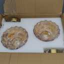 Vintage Wall Sconces with Amber Flower Glass Lampshade, Indoor Bath-Room Wall Sconce, Modern Gold Industrial Lighting Fixture for Mirror Living Room Hallway 2 Pack