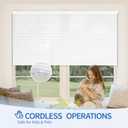 36''W x 48''H No Drill Cellular Shades, Light Filtering, White