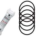 Pentair 5 Pcs R172009 O-Ring for Model 300 & 320 Pool and Spa Chlorinator Lid, Automatic Chlorine Feeder Parts Pool Filter O Ring Replacement for Rainbow Chlorinator, Nitrile Rubber