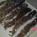 Ombre Soft Locs 10 Inch Crochet Hair Pre Looped 7 Packs Short Faux Locs Crochet Hair Butterfly Faux Locs Hair Extensions for Women(10 Inch,7 Packs,1B/30/27)