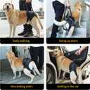 HEYWEAN Dog Sling for Large Dogs Hind Leg Support Harness Ideal for Elderly Injured Arthritic Dogs Provides Rehabilitation Aid for Weak Back Legs Comfortable and Durable Design, XL