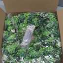 Sggvecsy 18 St. Patrick's Day Shamrocks Wreath for Front Door with 30 Green Lights Artificial Greenery Glittery Clover Wreath for Irish St. Patrick's Day Decoration Wall Indoor Outdoor Home Decor
