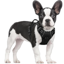 rabbitgoo Dog Harness No Pull with 2 Leash Clips, Adjustable Soft Padded, Reflective Oxford No Choke Pet Vest with Easy Control Handle for Medium Sized Dogs, Black, M