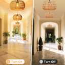 Hanging Lamps Rattan Pendant Light Hanging Lights 16.4ft Plug in Cord Pendant Light Fixture Plug Into Wall Outlet Pendant Lighting with On Off Switch for Bedroom Living