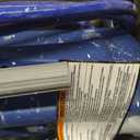Graco Magnum 257025 Project Painter Plus Paint Sprayer