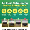 LockBait Pro Mouse Bait Stations | 12 Pack Mouse Bait Box for Outdoor Use | Mice Bait Stations with Keys for Indoor and Outdoor Use | UCatch