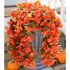 HyeFlora Bougainvillea Artificial Hanging Flowers Plants for Outdoors Winter Decoration, 2pcs Faux Bougainvillea Vines Orange Fake Flowers Realistic UV Resistant Silk Flowers for Outside Planter Yard