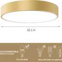 Large Gold Flush Mount Ceiling Light, 18 Inch Oversized Close to Lighting Fixtures, Minimalist Modern Style Round Lamp for Living Room, Bedroom, Kitchen Island (E12, 4-Light), Gold 18.1in