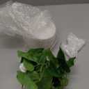 Mkono Fake Plants in Ceramic Pot, 11" Potted Artificial Plants for Home Decor Indoor Faux Green Leaf Plant with Modern White Planter for Desk Shelf Office Room Decoration (Pothos) (Small)