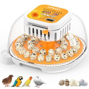 36 Quail Incubators for Hatching Eggs, Quail Egg Incubator with Automatic Egg Turning and Humidity Control, Temperature Control, Substantial Motor, LED Candler, for Parrot, Dove, Canary and Other Bird (Yellow)