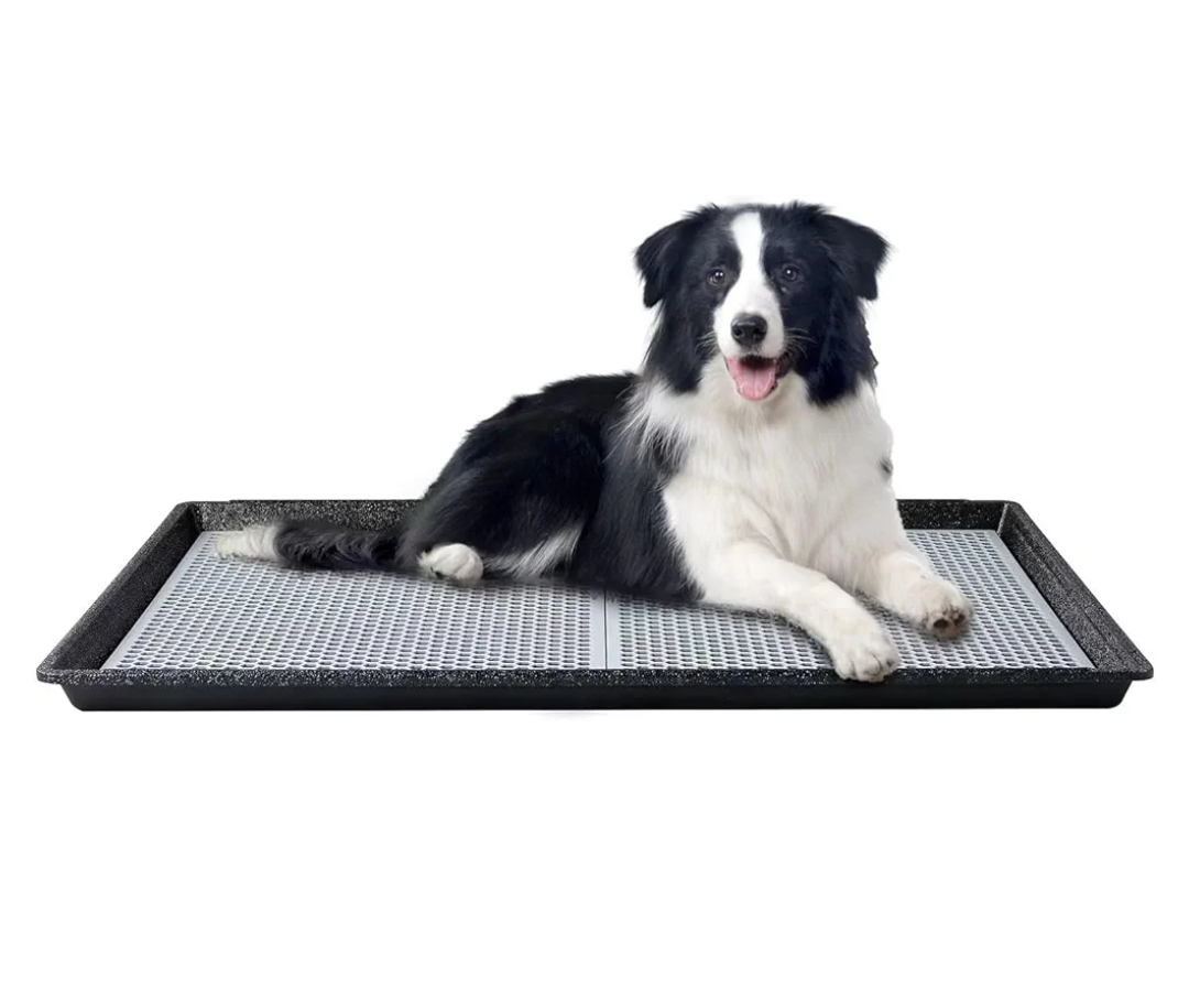 HQ4us Dog Pee Pad Holder Tray with Grate 34”×23”, Large Dog Litter Box Toilet, Puppy Pee Pad Holder, Less Mess, Dog Potty Indoor Outdoor for Balcony