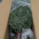 4FT Artificial Cedar Topiary Trees Realistic Fake Plants with Ground Spike