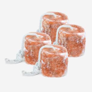 RESISTANCE Himalayan Salt Lick 2lb Block on Rope for Horses, Cattle, Deer, Goats, and Livestock  Pack of 4 Blocks