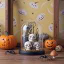 Halloween Decorations Indoor, Lighted Skull in Plastic Dome Cloche with Bat, Gothic Decor Cute Spooky Halloween Ghost Decor for Tabletop Mantel Display