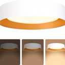 Bargeni 16.5 inch Dimmable LED Flush Mount Ceiling Light, Matte White with Gold Inside, 3000K/Warm White/30W, Modern Light Fixture for Closet and Hallway