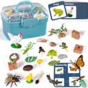 Life Cycle Learning Toys for Kids: Life Science Education Kits with Butterfly, Frog, Chicken, Mantis, Bee, Plants - 25 Pieces Animal Figurines Montessori Toys for Children Age 3 4 5 6 7 8+