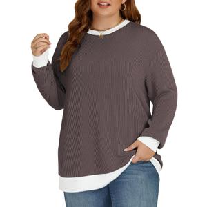 VISLILY Womens-Plus-Size-Tops Trendy Color Block Long Sleeve T Shirts Casual Loose Tunics Cute Knit Crewneck Blouses XL-5XL (XXL)