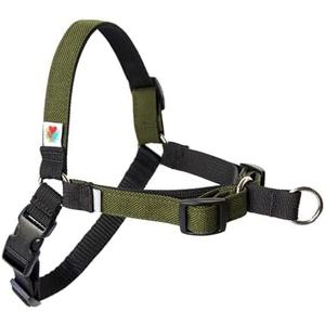 Wildebeest No Pull Dog Harness | Comfortable Training Harnesses | Effective No Pull Harness Design | Ideal for Small Dog and Puppy | 4-Point Adjustable (XS - 15~20 inch Girth, Olive)