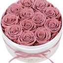 FIACO 12 Preserved Roses in Box Forever Flowers for Delivery Christmas Anniversary Birthday Gifts for Women Fresh Eternal Rose Valentines Day Gifts for Her-Dusty Rose