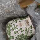6.5in. Tuscan Ceramic Green Scroll Planter (6.5 in. W x 6.5 in. D x 6.5 in. H)