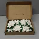 12pcs Floating Foam Lotus Flowers with Lily Pads, Artificial Pond Plants Ornaments for Pool Aquarium Water Decoration, White