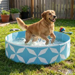 Foldable Dog Pool for Large Dogs, Kiddie Pool Hard Plastic Collapsible Dog Pool, Heavy Duty 0.5mm PVC with Non-Slip Bottom, Portable Kiddie Pool for Dogs, Pet Bath Tub for Backyard Summer, BL 47