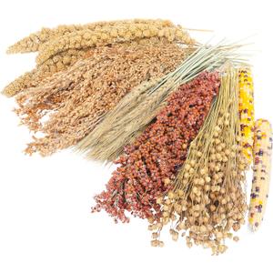 Sprays Set = Wheat + Flax + Yellow Millet + Panicle Millet + Corn Cob + White/Red Sorghum Stems, Pet Habitat Bedding Decor Accessories for Hamsters