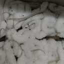 Halloween Decorations Spider Web Outdoor: Halloween Spider Web Lights 250 Purple LED Lights 59" Giant Spiders Scary Halloweens Decorations Outdoor Indoor for Party Garden Yard Home Haunted House Decor