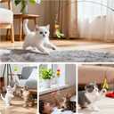 Atosun Interactive Cat Toys, 15PCS Cat Wand and Feather Toys for Indoor Cats, Reusable Suction Cup Toys for Kittens Play Exercise