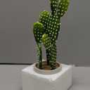 DILATATA 13' Small Fake Cactus Plant Potted 'Prickly Pear Cactus' Faux Cacti for Home Garden Office Decor Housewarming Gifts
