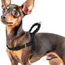 PUPTECK No Pull Dog Harness Small Sized Dog, Adjustable Reflective Pet Vest Harness with Bungee Handle, Escape Proof No Choke Harness for Small Dogs Walking Training, Black, Size XS 