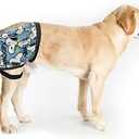 Dog Hip Padding with Elastic Rope for Dogs After Surgery Right Leg Weight 30-60lbs Fall Cushion Hip Brace Protection Warmer