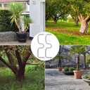 50pcs Fruit Tree Puller Limb Spreader, 4.33x1.26in Galvanized M-Type Branch Trainer Angle Benders for Bonsai and Orchard Trees Adjustable Plant Support for Training & Higher Yield