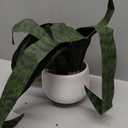 Beebel Artificial Snake Plant 22 Inch Fake Sansevieria Fake Agave Potted Plants Plastic Greenery for Home Garden Office Store Decoration 12 Leaves (Green)