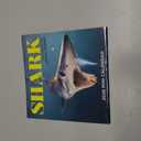 Shark Mini Wall Calendar 2026