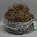 Giegxin Spanish Moss 41'' Fake Hanging Succulents Faux Moss Artificial Succulent Plants Vines Hanging Plants Swamp Decoration Potted Artificial Garland(Brown,12 Pack)