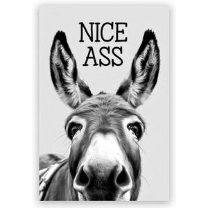 Funny Donkey Wall Art Nice Ass,Donkey in Bathroom Posters Middle Ages Abstract Farmhouse Home Canvas Print Painting Interest Black and White Wall Decor 8x12inch Unframed