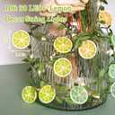 Lemon Decor String Lights with Remote Timer, 10FT 30 LED Lemon Fairy String Lights with 15 3D Colorful Lemon Slicer Lights, USB/Battery Operated Light String for Summer Garden Decor