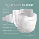 Pampers Amore, Size 1 (8-14 lbs), 198 Count, Our Best Diaper Hypoallergenic & Fragrance Free, Up to 100% Leakproof, Soft as Cashmere