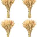 18 inches Natural Dried Wheat Stalks, 400 Stems Wheat Dried Flowers for Vase Home Kitchen Office Spring Flowers Arrangement Wedding Crowns Wreath Table Centerpiece Farmhouse Boho Party Dcor