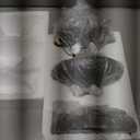 Astronauts Wall Decor Set of 3, Modern Home Wall Sculptures Decoration, 3D Cute Space Theme Room Wall Decor for Kids Room, Outer Space Wall Decorations for Boys Room Bedroom Playroom Decor