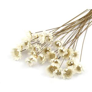 100 Stems Natural Dry Flowers Brazilian Small Star Daisy Decorative Dried Flowers Mini Daisy Chamomile Bouquet for Wedding Floral Arrangements Home Decorations (White)