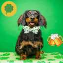 Lionheart glory Dog Bow Collar St. Patrick's Day Dog Collar for Medium Dogs, Adjustable Green Collars Lucky Clover Shamrock Dog Collar with Bowtie Pet Collar Bows (Medium (Pack of 1)