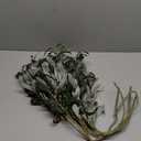 Artificial Olive Branch Stems 5pcs 28 Inch (Green)