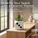 Decorative Ceramic Dice Flower Pot for Home Decor - Modern Planters Pot for Indoor and Outdoor Styling - Versatile Garden Plant Pots for Living Room or Creative Plant Stand Indoor - 6", White & Black