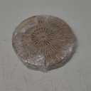 Wood Woven Spoke Wall Home Decor 12in Diameter (2 Pc)