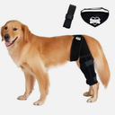 Bark Rx: Dog Knee Brace Hind Leg - Orthopedic Brace for Dogs - Integrated Support Strap for Canine Cruciate Ligament, Luxating Patella, Dislocation Injury - Includes Bandana Collar - Black (M)