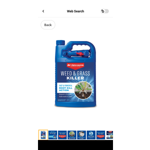 BioAdvanced Weed & Grass Killer Spray, 128 Fl Oz (Pack of 1) - White